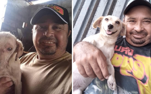 Rescató a un perrito herido y mostró su evolución: “Nunca pensé que él se fuera a convertir en mi mejor amigo”