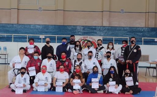 Las artes marciales disputaran la 22º edición del Campeonato Austral