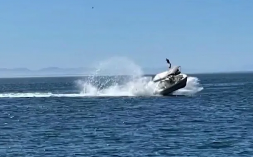 Un pequeño bote impactó contra una ballena y los turistas salieron volando por el aire