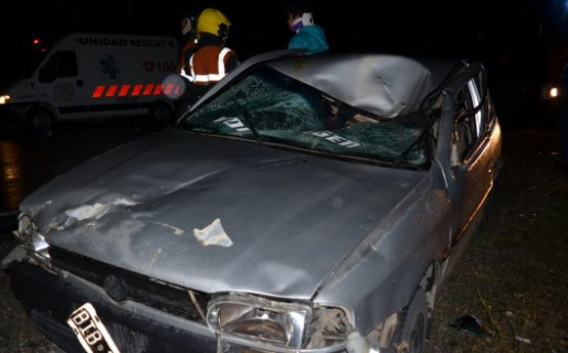 Otra vez un caballo suelto provocó un accidente en la ruta nacional 40