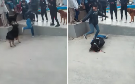 A la víctima de la brutal golpiza le cuesta mover el cuello y le duele respirar