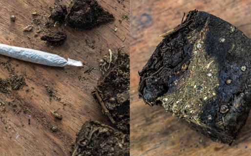 Estudios afirman que el ‘paraguayo’ es la peor marihuana del mundo