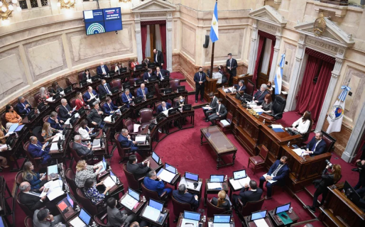 Mundial, ausencias y el conflicto de la Magistratura: el Senado prevé un fin de año de virtual parálisis