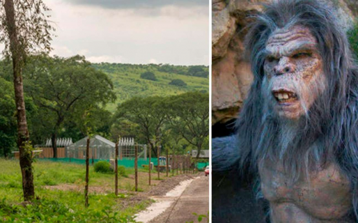 Qué es un “ucumar”, el animal mitológico que quieren cazar chacareros en Salta