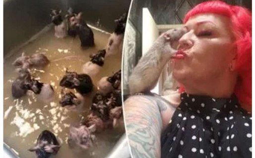 Tiene 50 ratas, les dice “bebés” y las baña en la pileta de la cocina