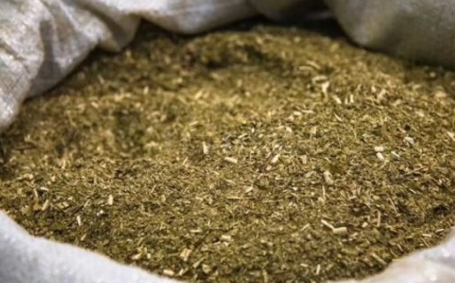 El Gobierno destinará casi $650 millones a la compra de yerba mate para la población en situación de vulnerabilidad
