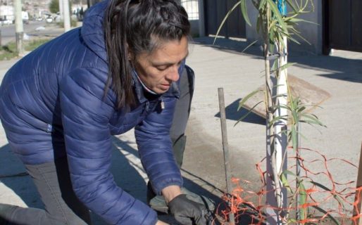 «Mi barrio más verde»: Realizaron una nueva plantación en el barrio Juan XXIII