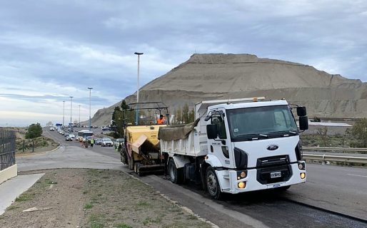 «Tratamos de bachear en horarios nocturnos, pero muchas veces no es posible»