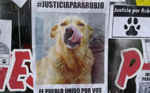 Lo condenaron a prisión por arrastrar a un perro con su camioneta hasta matarlo