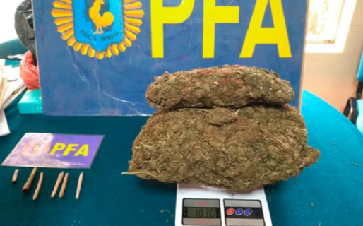 Alumnos de una escuela rural tenían una cosecha de marihuana en el colegio