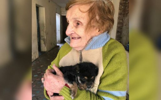 Una abuela adoptó un cachorrito y los usuarios la criticaron: «Es muy grande para tener a ese chiquito»