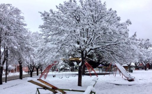 Se registran intensas nevadas en la Cordillera
