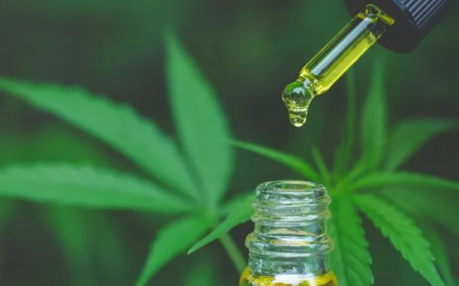 Alberto Fernández promulgó la Ley de Cannabis Medicinal