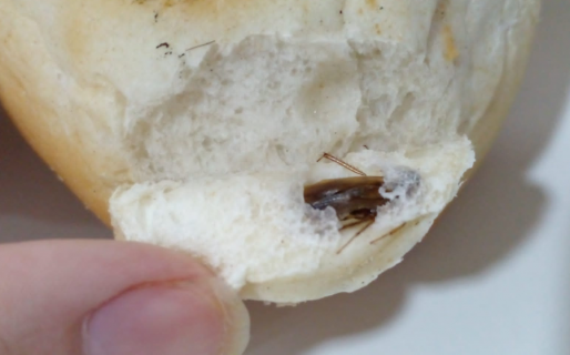 Desagradable hallazgo en Comodoro: encontró una cucaracha en el pan que había comprado