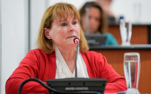 Digna Hernando: «El Municipio es responsable de brindar soluciones habitacionales en serio»