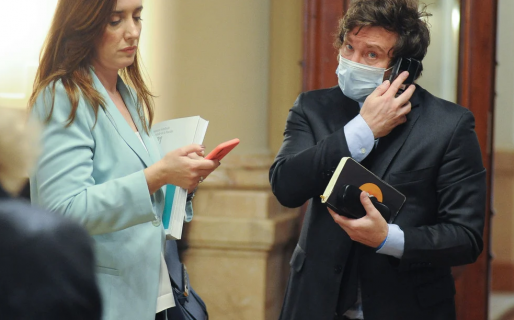 Javier Milei fue a un acto partidario con pasajes del Congreso y su compañera de bancada, que ya pidió 20 boletos de vuelo