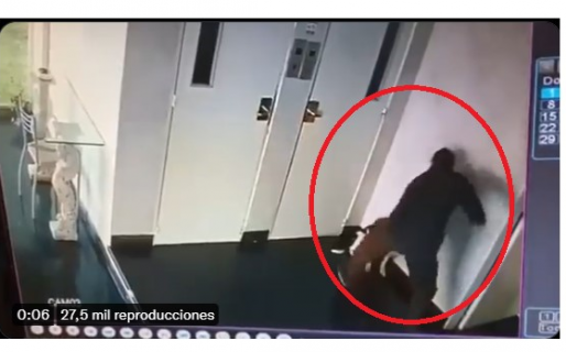 Un adolescente de 14 años golpeó brutalmente a su perra: se la quitaron y detuvieron a su padre