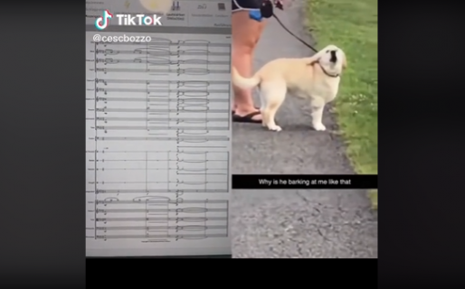 Ladró de manera inusual y lo convirtieron en cantante de ópera