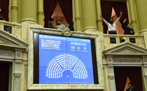 En medio de una fuerte polémica, Diputados aprobó la ley que regula la industria del cannabis medicinal