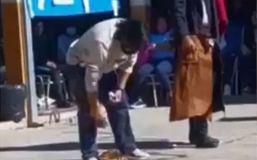 Fuertes imágenes: alumnos de Salta despedazaron a una gallina en un juego