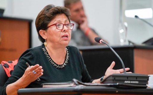 «Cada uno se transporta en la ciudad como quiere»