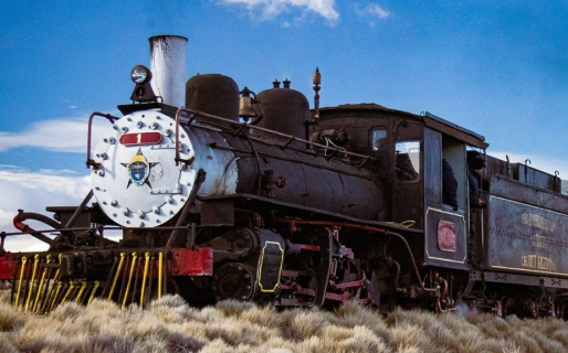 “La Trochita” confirmó cronograma para el tramo que une Chubut y Río Negro