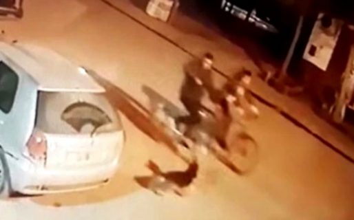 Andaba en bici, un perro salió a ladrarlo y lo mató de un balazo