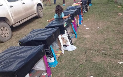 Una mujer decidió armar cuchas para que los perros de la calle se refugien del frío