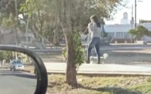 “Están raros los caniches en este barrio”: el viralazo de una cordobesa que sacó a pasear una exótica mascota