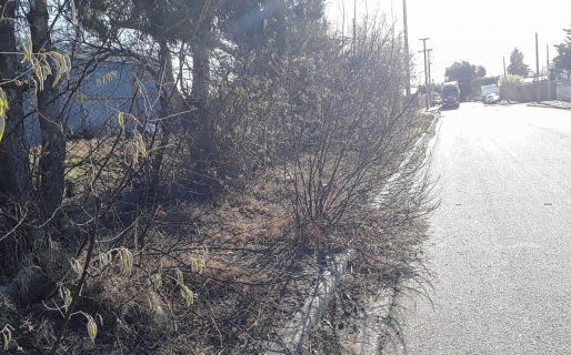 Los vecinos de Km8 reclaman la limpieza de una transitada vereda