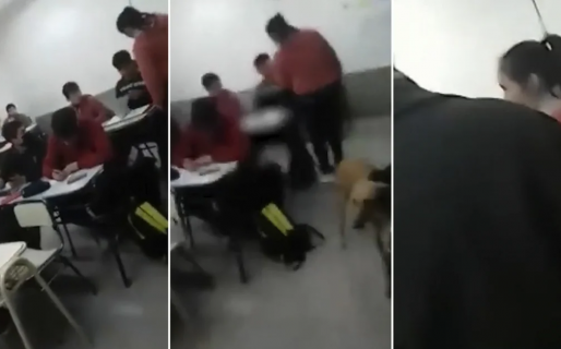 “A mi hijo no lo toca nadie”: una mujer irrumpió en una escuela y golpeó al alumno que peleó con el menor