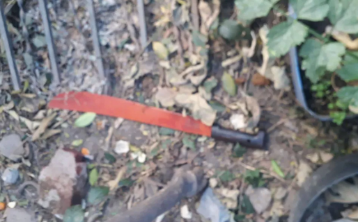 El asesino del machete quiso matar a Cristina Kirchner y Alberto Fernández