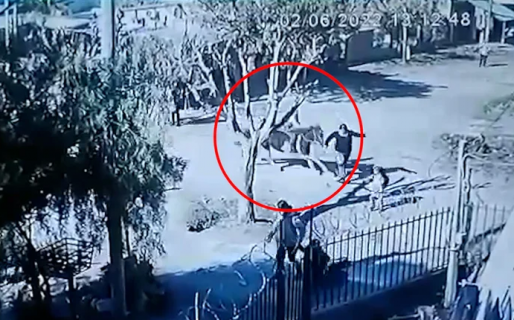Un caballo montado por un nene de 12 años embistió a dos mujeres: una quedó en coma