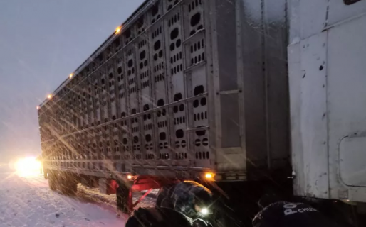 Un camión quedó atascado en la nieve y generó un caos vehicular en Ruta 26