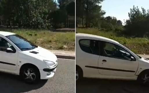 Festejaba haber conseguido la licencia de conducir y chocó el auto de su hermano