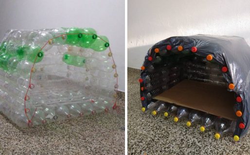 Amor a los animales: Construyen cuchas y reúnen ropa de abrigo para perros sin hogar