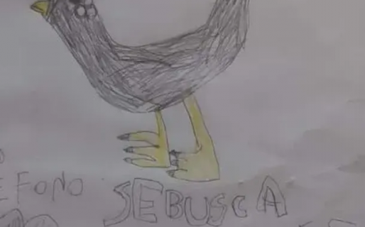 Desapareció su gallina, hizo un dibujo para buscarla y la encontró