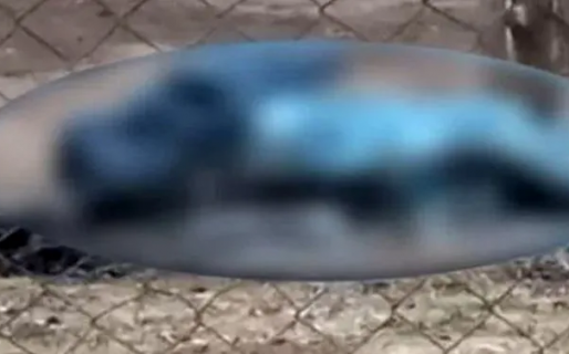 Un hombre se quitó la vida luego de ser víctima de sextorsión