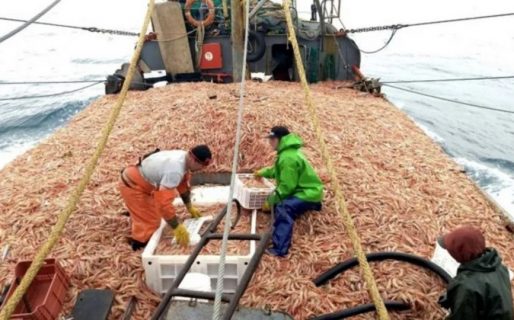 Aguilar: “Si hay un día oscuro para la pesca provincial, es este”