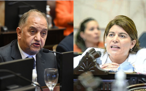 Linares salió al cruce de Romero tras la votación en Diputados: «Los rechazó porque está en campaña»