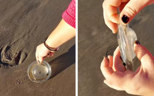 La extraña aparición en una playa comodorense: Las teorías virales de los usuarios