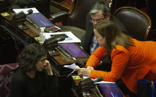 «Aunque nos comamos diez pij…mostramos seriedad», el insólito blooper en plena sesión en Diputados