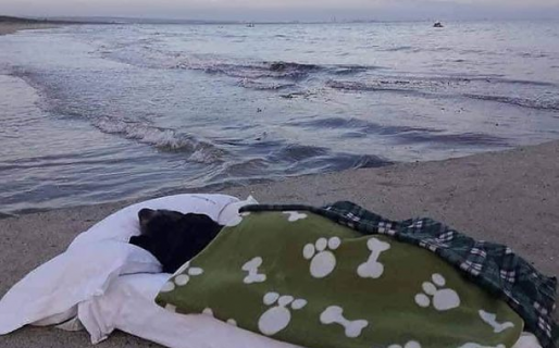 A pocas horas de su muerte, llevó a su perrita a ver el mar por última vez