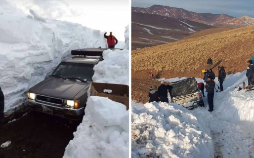 Tragedia en la nieve: el final del valiente arriero que murió congelado y abrazado a sus animales