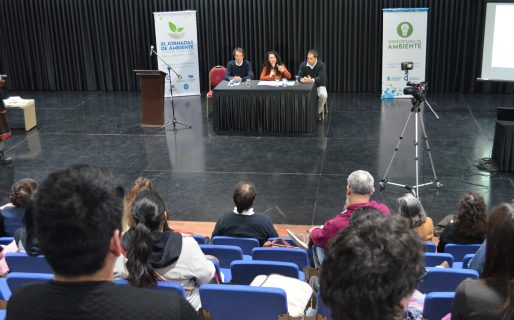 Marisol Merquel brindó una charla en las XI Jornadas de Ambiente