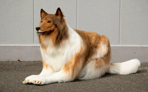 Quiso vivir como un perro, se encargó un traje hiperrealista y cumplió su sueño