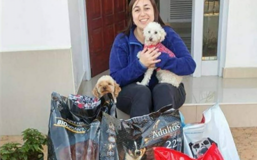 Es de Comodoro, teje amigurumis y los cambia por alimento para perros de la calle: Lleva donando toneladas