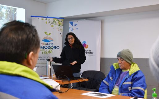 El municipio capacita en poda y mantenimiento de arbolado urbano