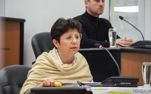 «Me gustaría saber cuantos inviernos tiene en el lomo el concejal Buffa en esta ciudad»