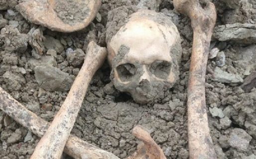 Un pescador encontró huesos humanos cerca de la Costanera